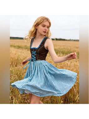 Spieth & Wensky Blue Gingham Dirndl Dress EU 38 Oktoberfest Bavarian Cottage